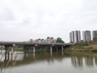 河畔桥梁与城市建筑景观