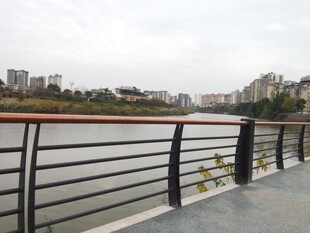 河畔护栏旁的城市风景