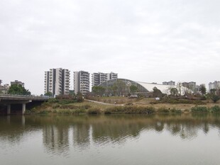 河畔高楼与平静湖水景色