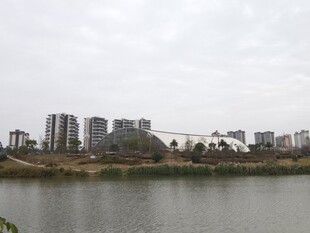 湖畔高楼林立的城市景致