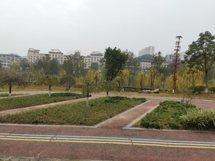 城市公园景观绿意盎然