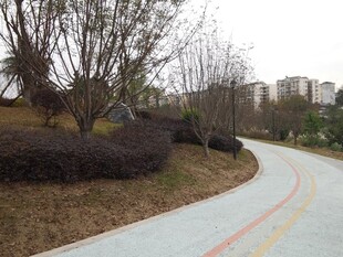 蜿蜒彩色步道城市自然景