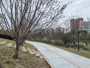 城市公园中的幽静小路