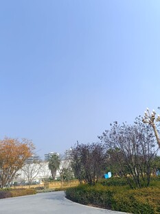 户外秋日风景小路