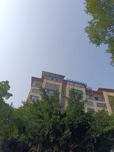 绿树掩映下的多层住宅楼