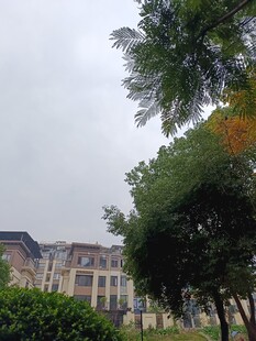 小区周边绿植与建筑景观