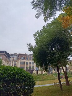 园林旁的典雅建筑景观