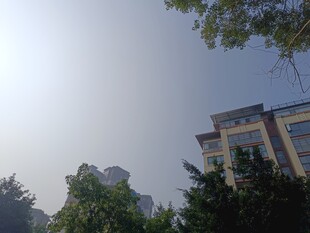 阳光下的建筑与绿树