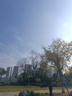 城市公园的开阔风景