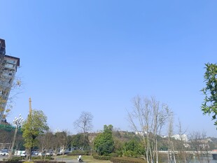 户外城市景观中的高塔