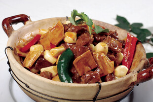 煲仔锅菜品狗肉煲仔