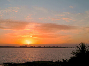海边壮丽日落美景