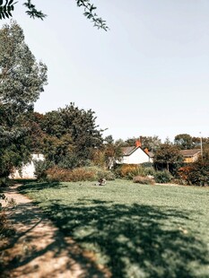 乡村绿意盎然的宁静景致