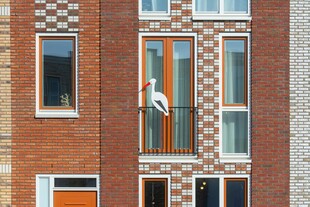 红砖建筑上的开窗景象