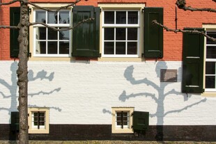 欧式建筑墙面与绿色百叶窗