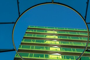 透过圆环看绿色高楼