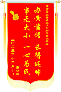 锦旗表彰办事高效一心为民