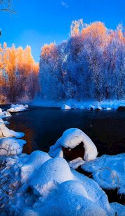 冬日冰雪覆盖的静谧河岸