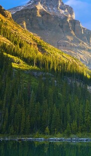 山间翠湖伴葱郁山林