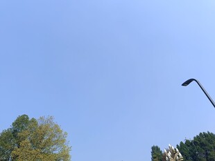 蓝天绿树旁的路灯