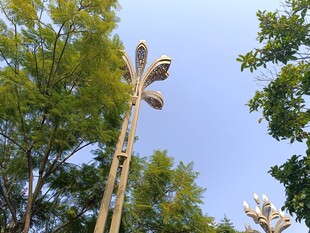 户外树木间的特色装置艺术