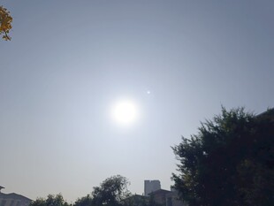 阳光下的树木与建筑