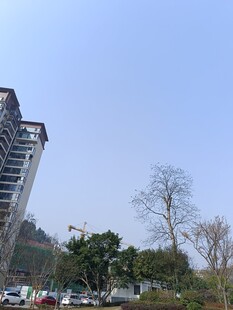 倾斜的高楼景象