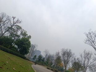城市公园中的静谧风景