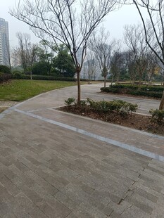 城市公园中的空旷步道