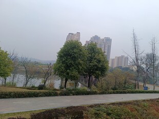城市湖畔风景