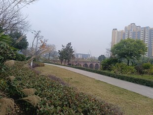 城市中的静谧绿化小径