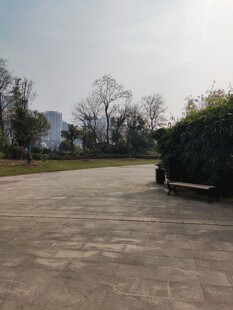 空旷户外场地及周边景观