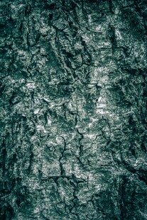 深绿色粗糙纹理背景