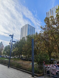 城市公园中的休闲景致