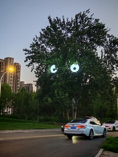 夜晚树下的亮眼汽车