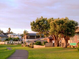 宁静社区的绿意景观