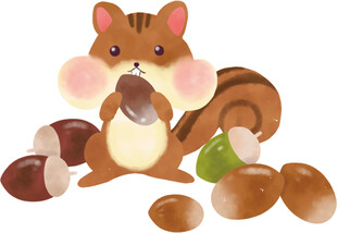 松鼠