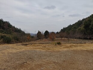 苏州穹窿山冬季风景