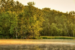 湖畔绿树成荫的美丽景致