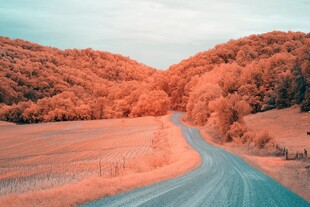 红外视角下的蜿蜒乡村公路