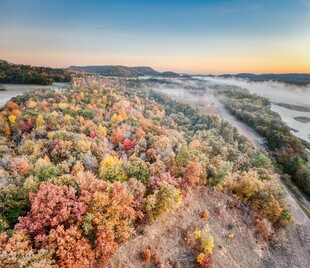 秋日多彩树林俯瞰美景