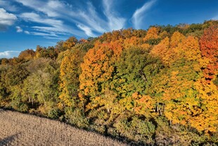 秋日山林斑斓美景