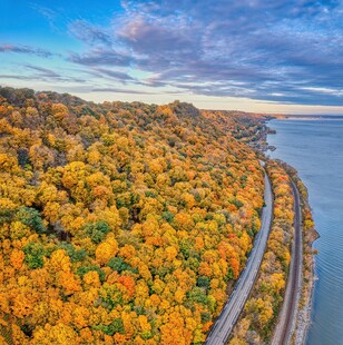 秋日公路旁的斑斓树林风景