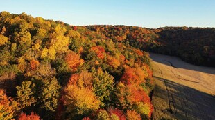 秋日山林斑斓美景