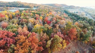 秋日山林斑斓美景