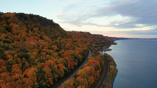 秋日湖畔斑斓树林美景