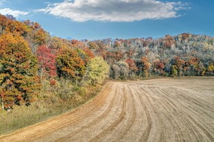 秋日田野与多彩山林美景