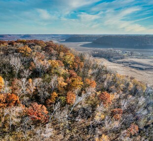 秋日山林俯瞰美景