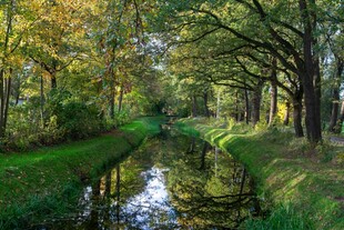 林间小河畔的秋日美景