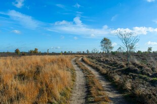 旷野中的蜿蜒小路